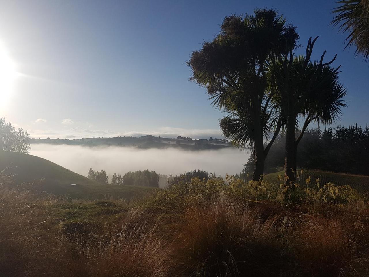 Above The River Karapiro Bed & Breakfast Eksteriør billede